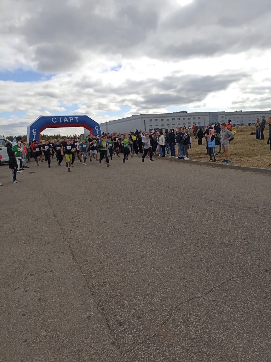 Кросс нации.